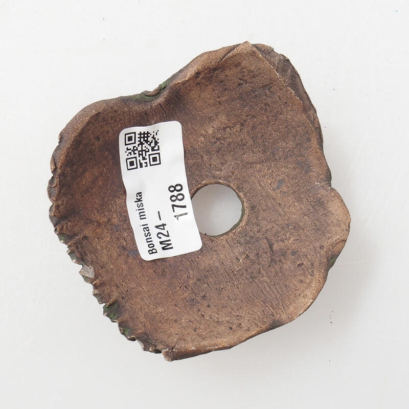 Muszla ceramiczna 7 x 7 x 4 cm, kolor zielony