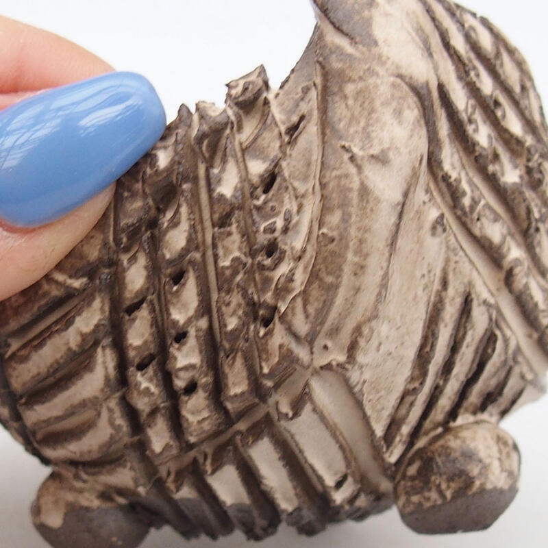 Muszla ceramiczna 8,5 x 8,5 x 6 cm, kolor beżowy