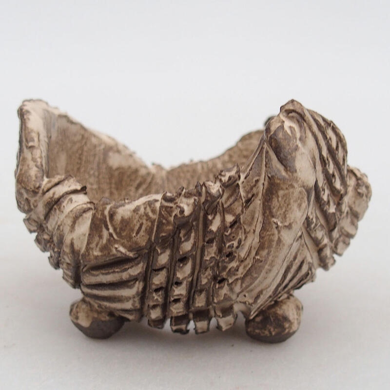 Muszla ceramiczna 8,5 x 8,5 x 6 cm, kolor beżowy