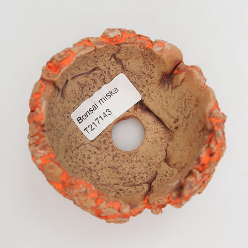 Ceramiczna muszla 9 x 9 x 5,5 cm, kolor czerwony