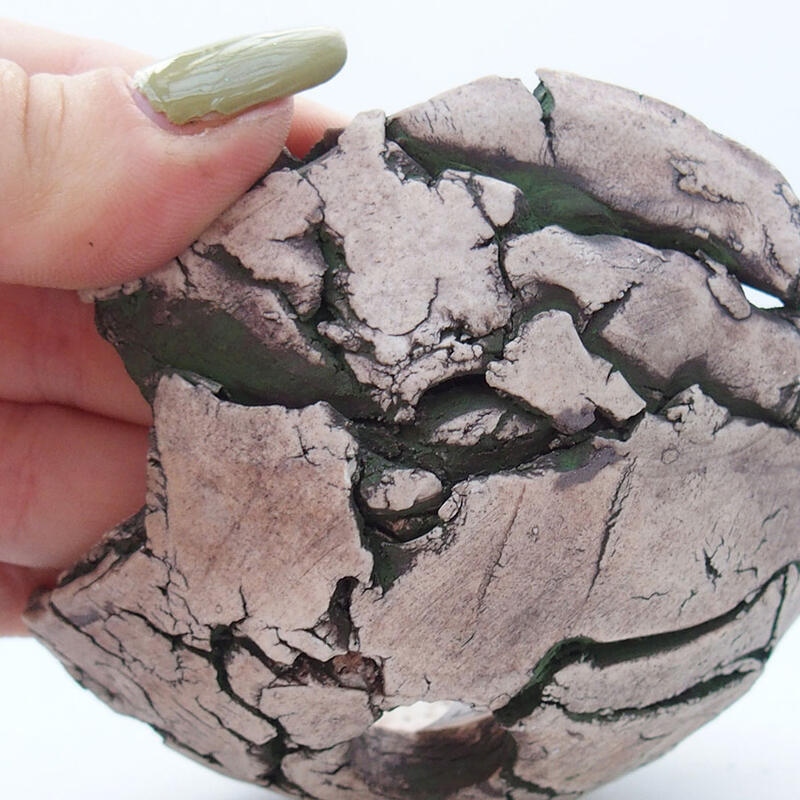 Muszla ceramiczna 9 x 9 x 5 cm, kolor zielony