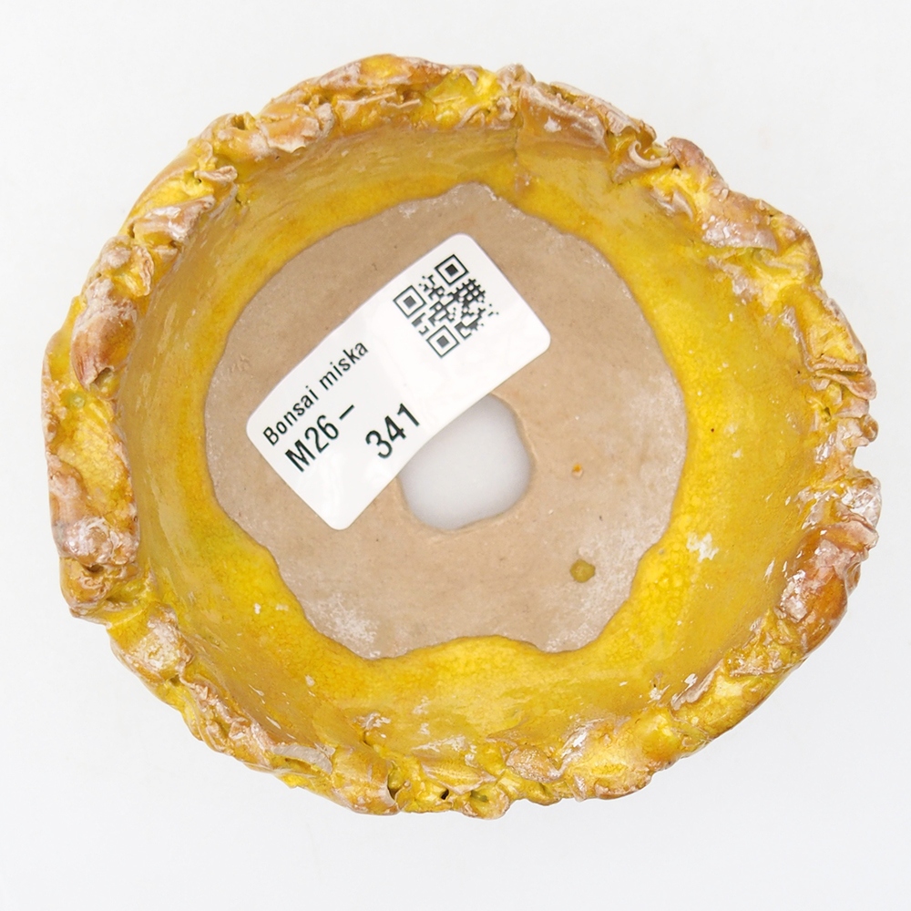 Ceramiczna skorupa 9 x 8,5 x 5,5 cm, kolor żółty