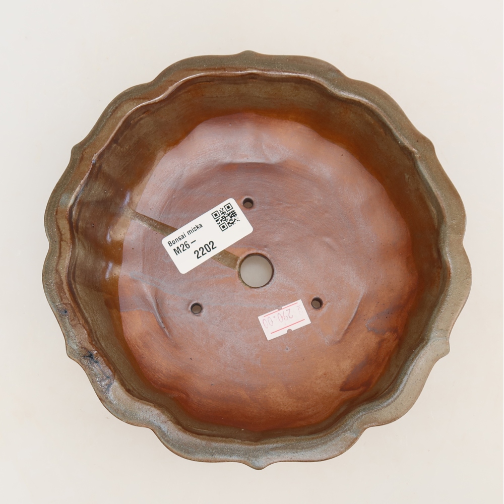 Ceramiczna miska do bonsai 18,5 x 18,5 x 5 cm, kolor brązowy