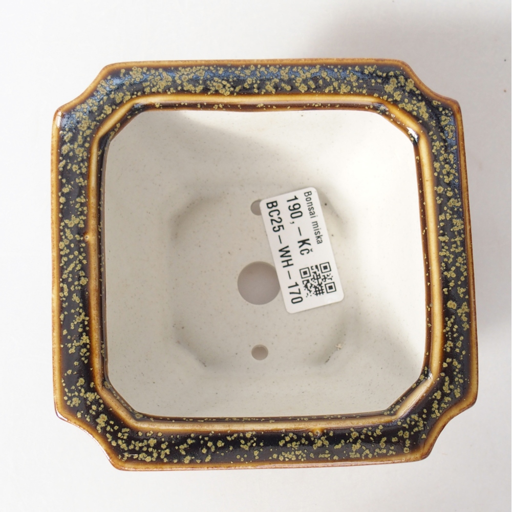 Ceramiczna miska na bonsai 11 x 11 x 7 cm, żółta