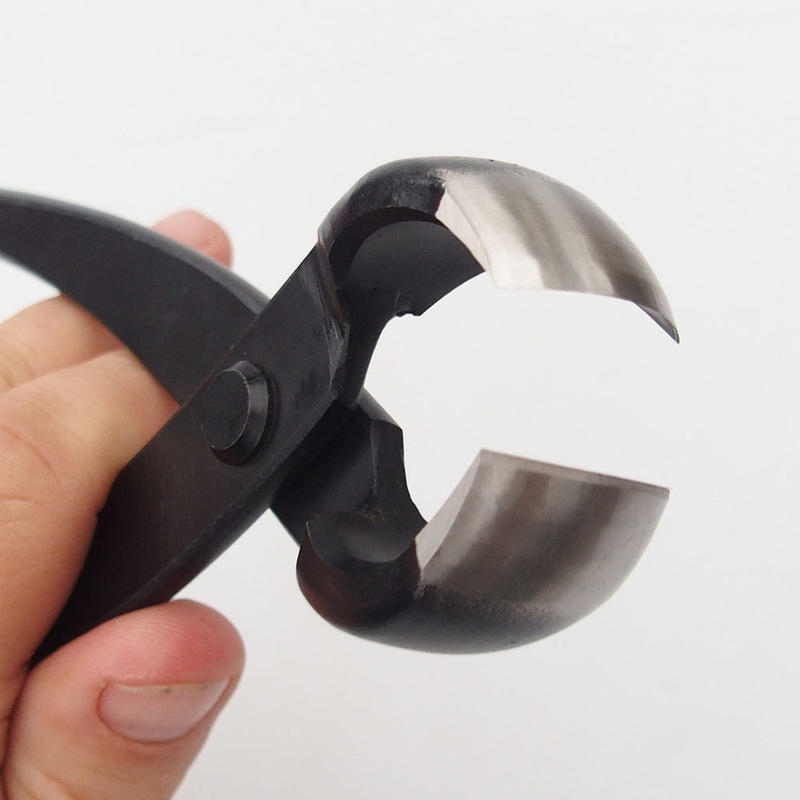 Wklęsłe szczypce do nosa 280 mm - karbon