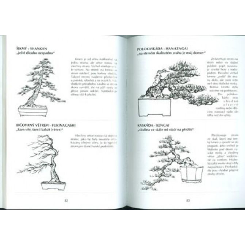 Księga bonsai nie tylko w domu panelowym