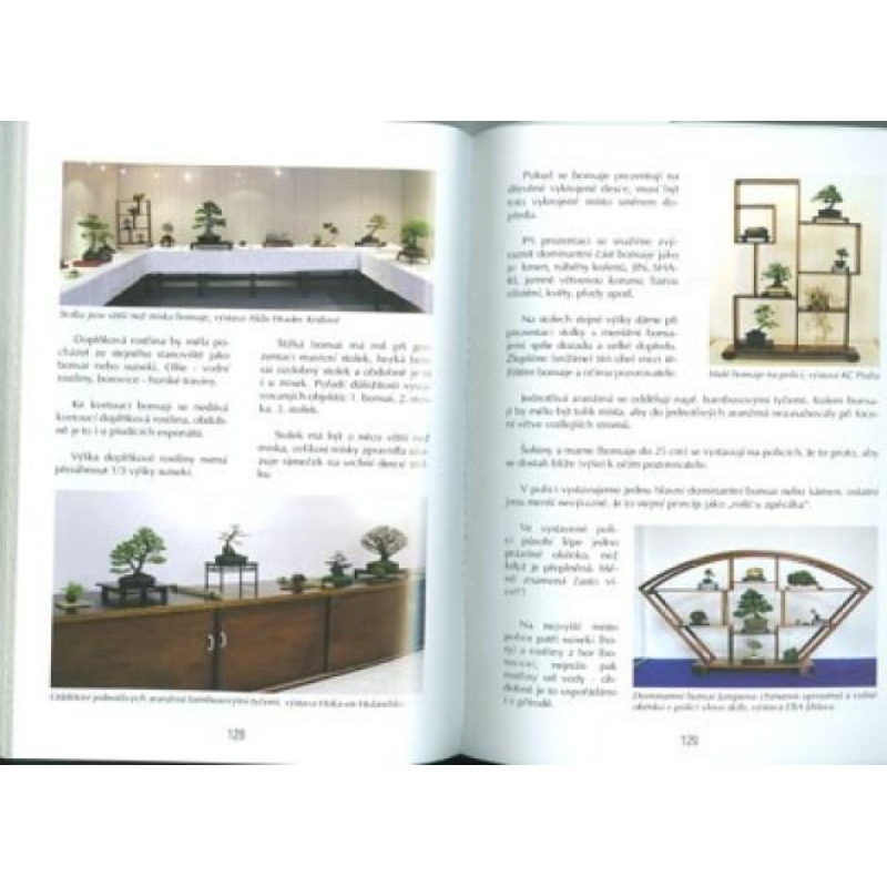 Księga bonsai nie tylko w domu panelowym