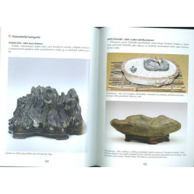 Księga bonsai nie tylko w domu panelowym