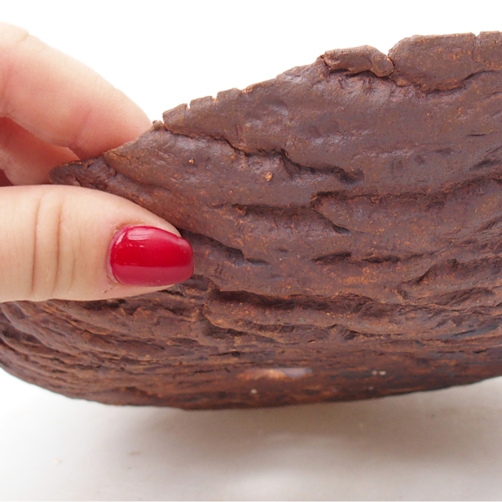 Ceramiczna muszla 22 x 18,5 x 6,5 cm, kolor brązowy