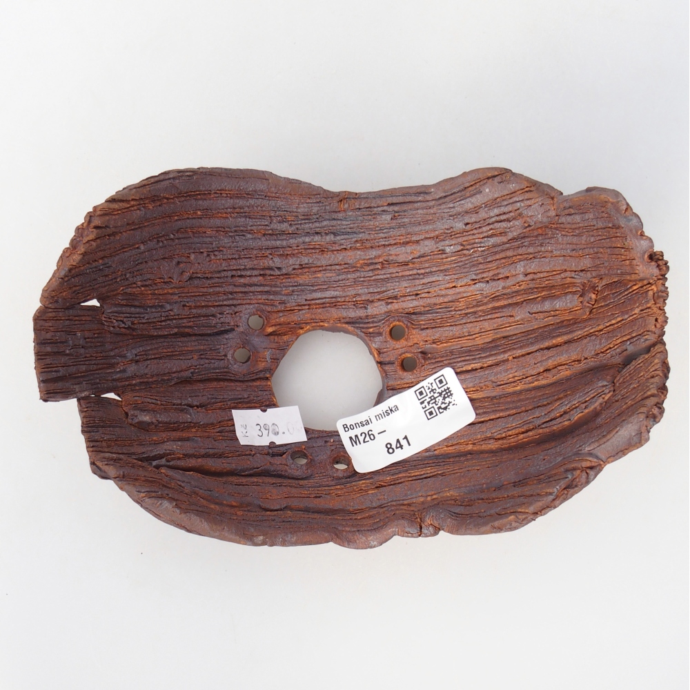 Ceramiczna muszla 16 x 10,5 x 8,5 cm, kolor brązowy