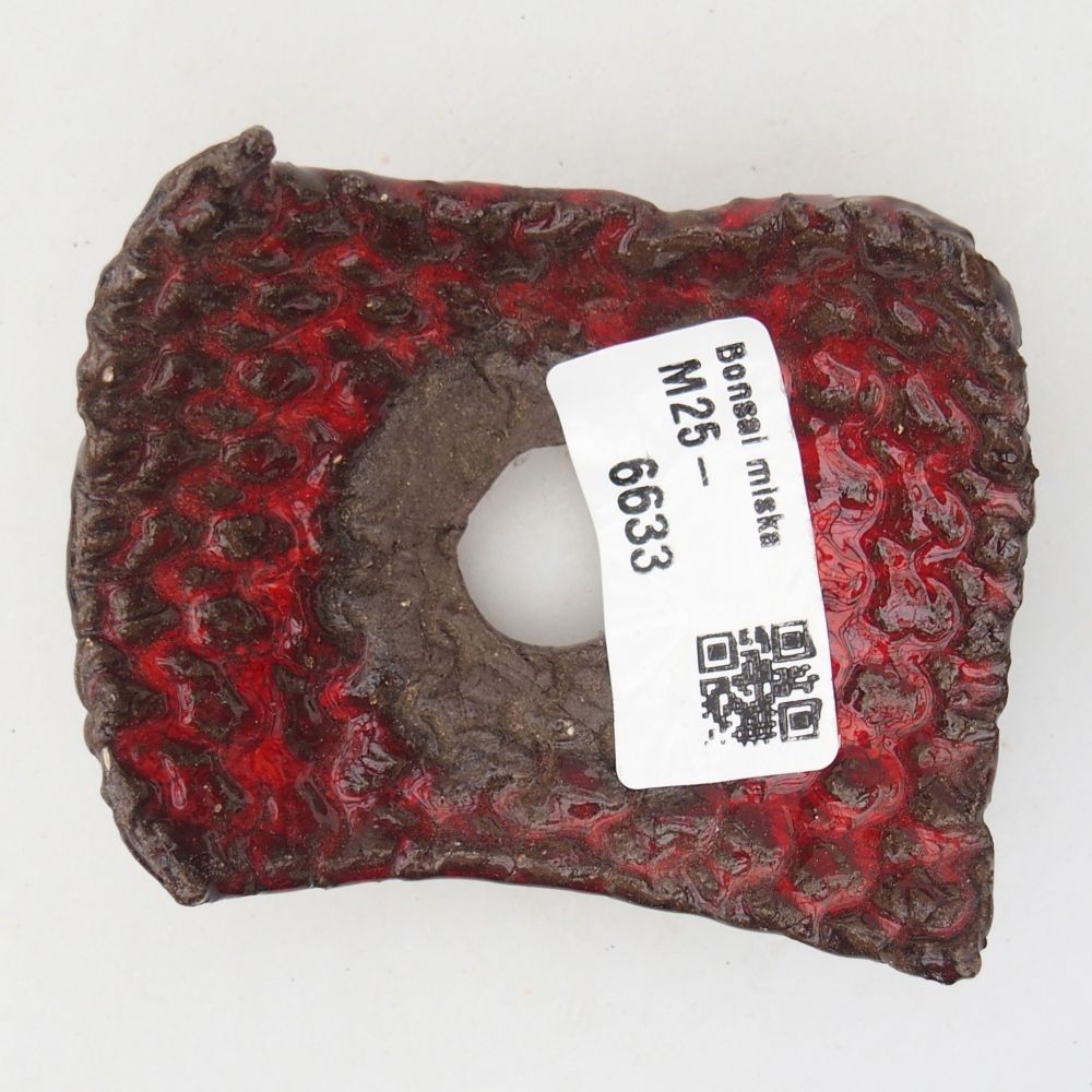 Ceramiczna muszla 7,5 x 6 x 4 cm, kolor czerwony