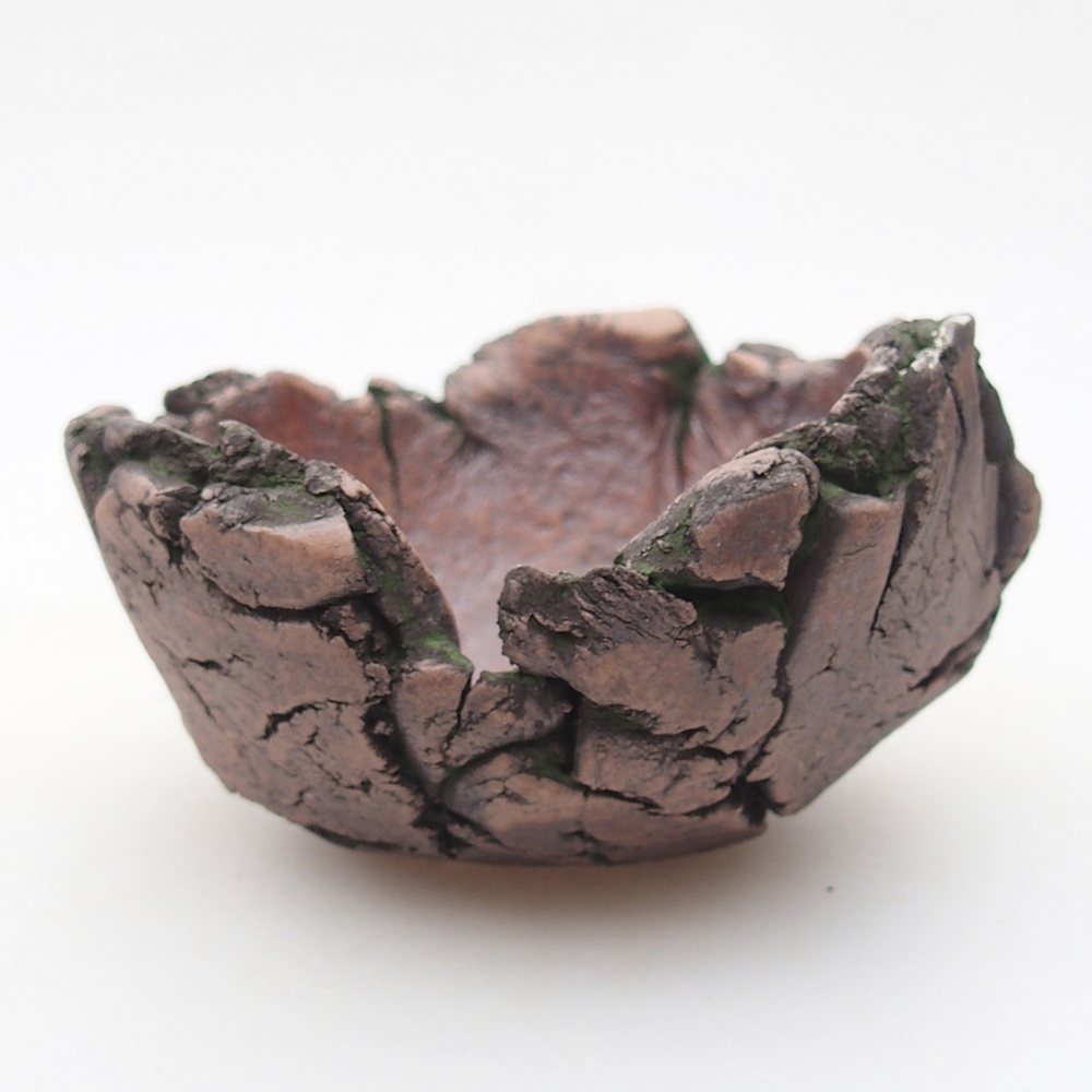 Ceramiczna muszla 9,5 x 9,5 x 6 cm, kolor zielony