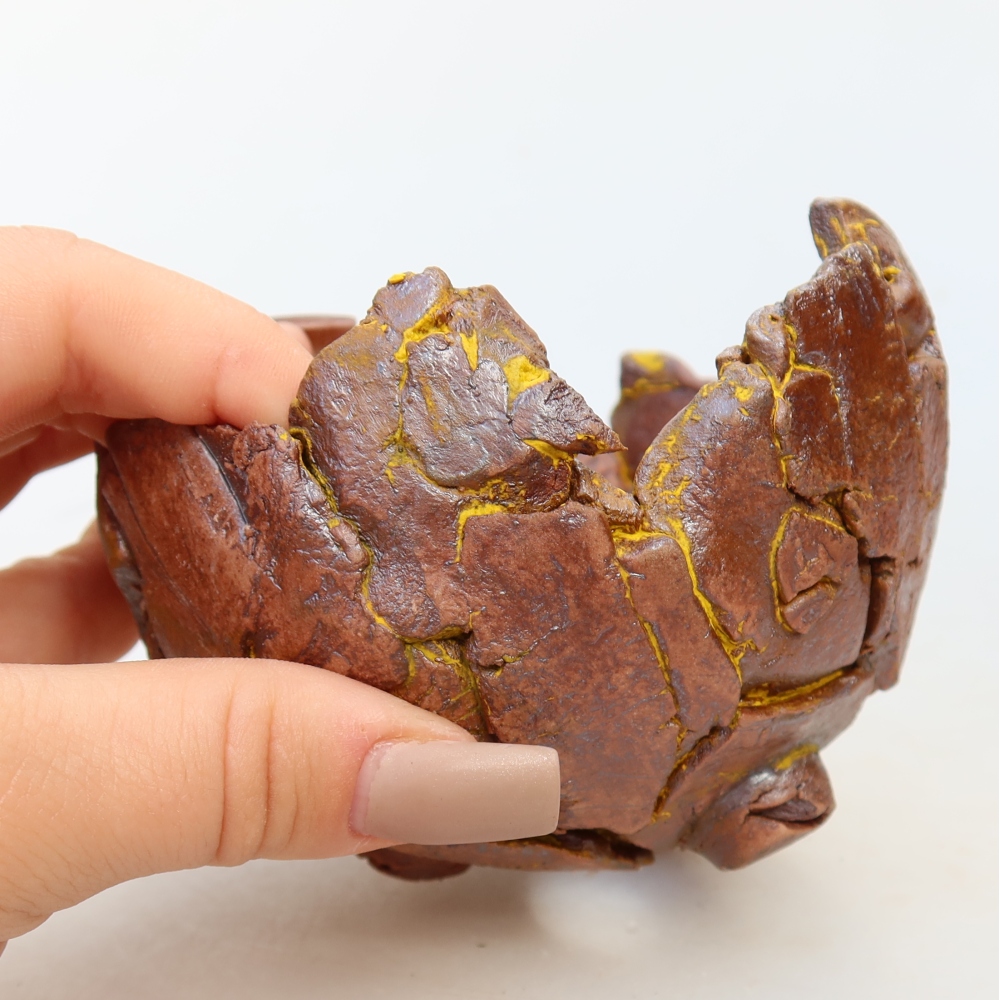 Ceramiczna skorupka  11 x 10 x 7 cm, kolor żółty