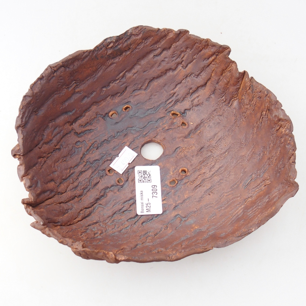 Ceramiczna skorupa 19 x 17 x 7 cm, kolor brązowy