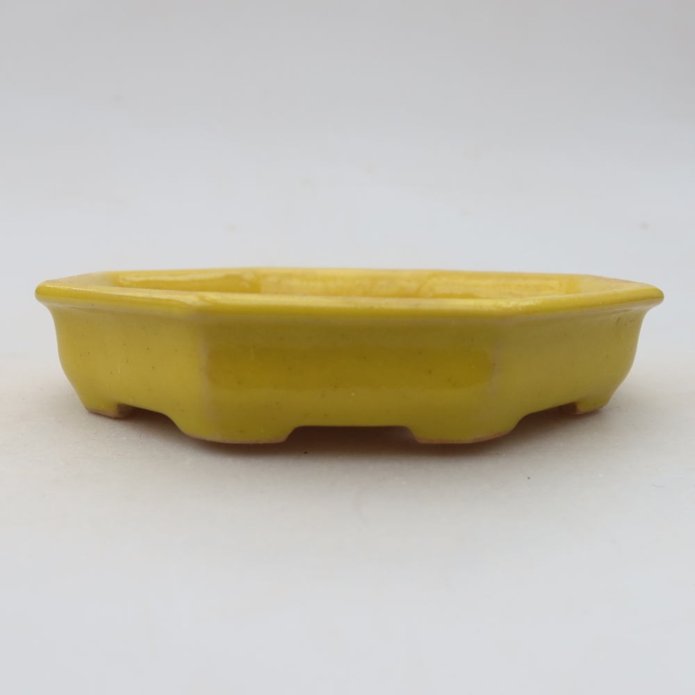 Ceramiczna miseczka do bonsai 11,5 x 11,5 x 2,5 cm, kolor żółty