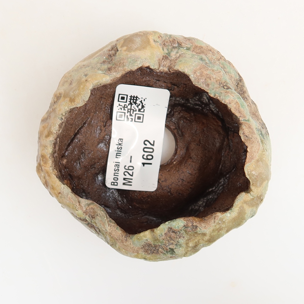 Ceramiczna skorupka  6 x 5 x 5,5 cm, kolor zielony