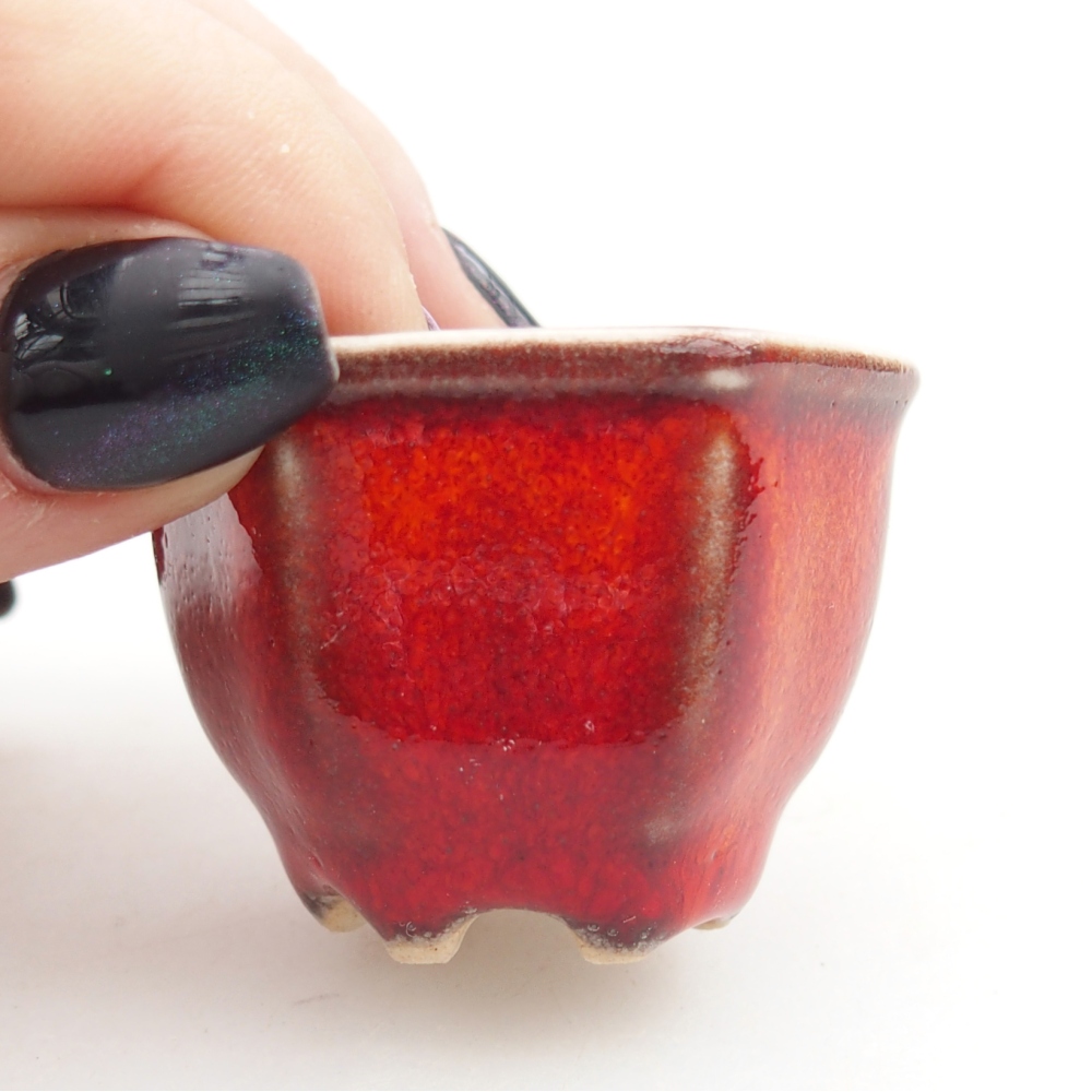 Mini miska do bonsai 4 x 4 x 3 cm, kolor czerwony