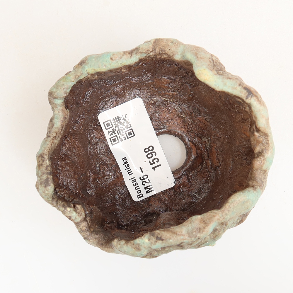 Ceramiczna skorupka  7 x 6 x 6 cm, kolor zielony