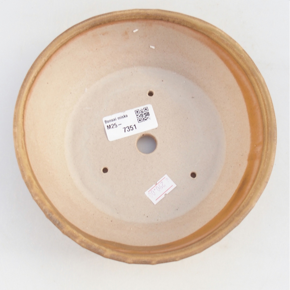 Ceramiczna miska na bonsai 18 x 18 x 5,5 cm, kolor beżowy
