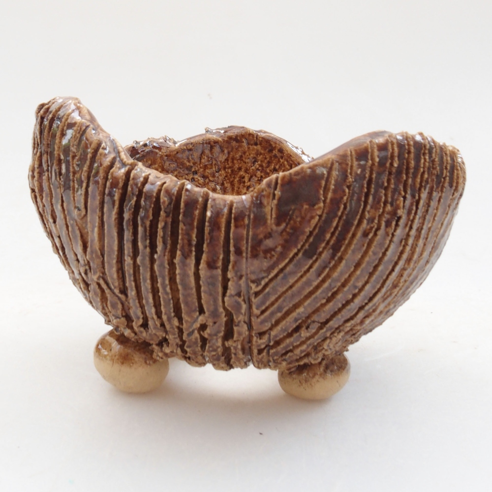 Muszla ceramiczna 8 x 7,5 x 6 cm, kolor brązowy