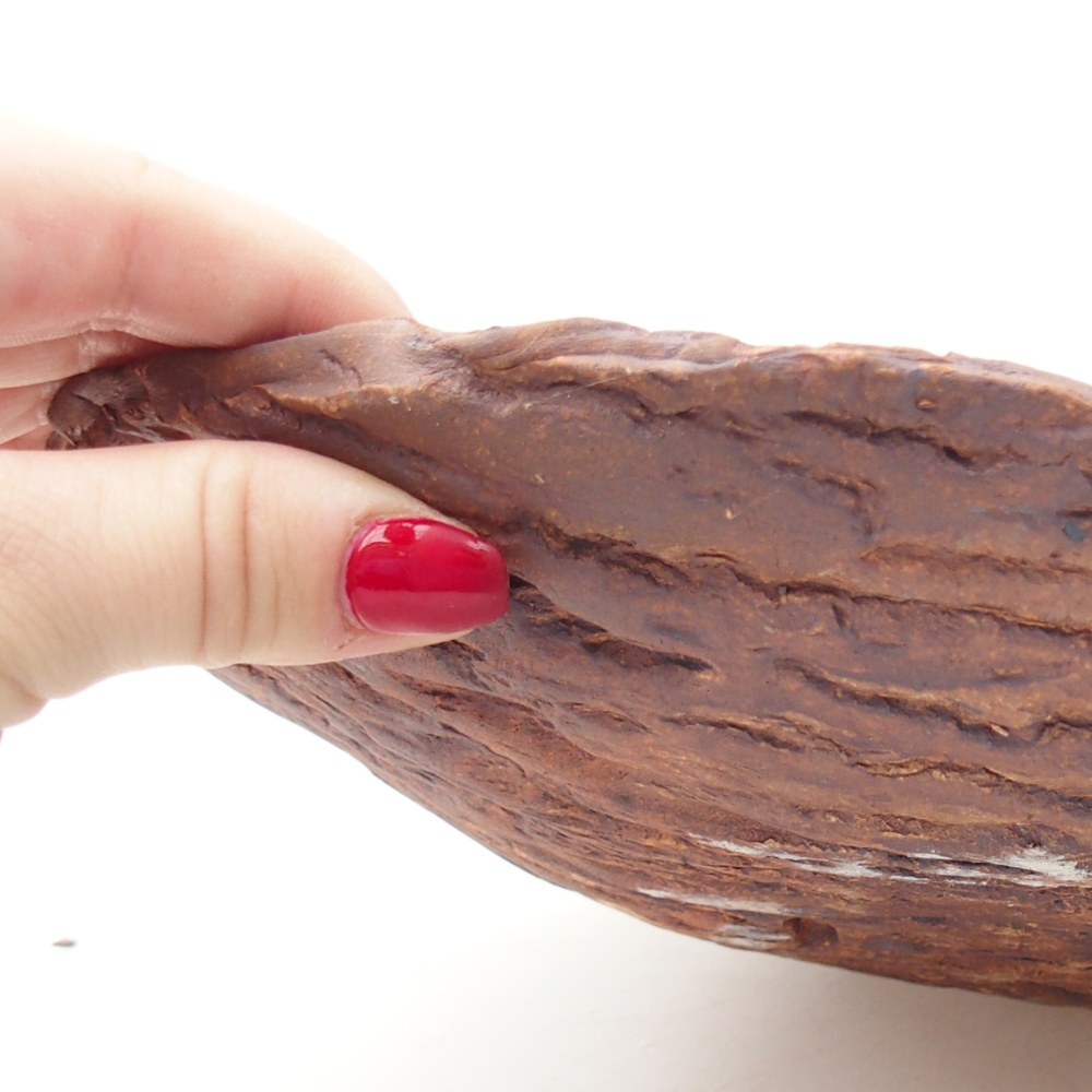 Ceramiczna skorupa 28 x 20 x 5 cm, kolor brązowy