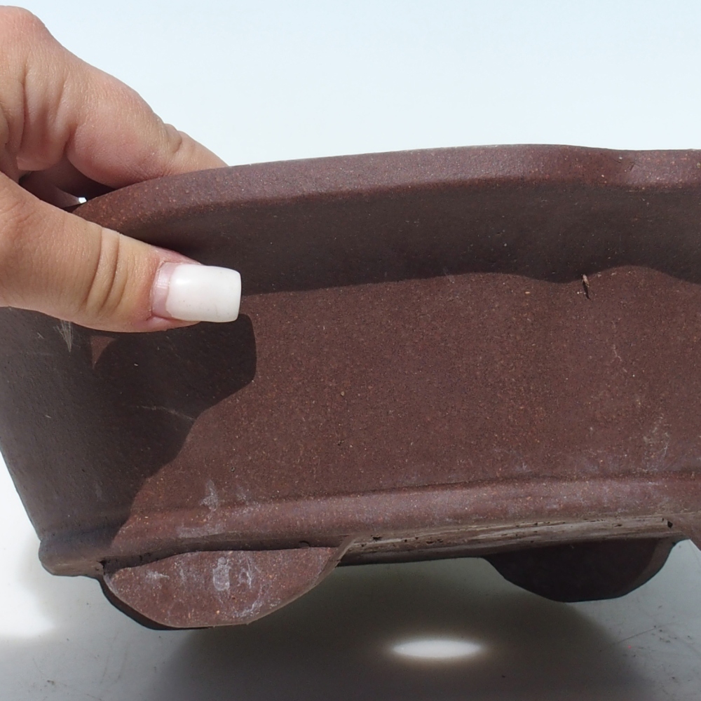 Misa bonsai 30 x 30 x 9 cm brzoza brązowa