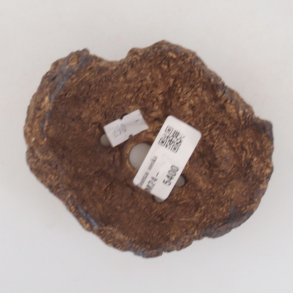 Muszla ceramiczna 9,5 x 8 x 10 cm, kolor brązowy