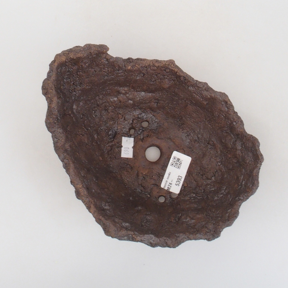 Muszla ceramiczna 17 x 14 x 14,5 cm, kolor brązowy