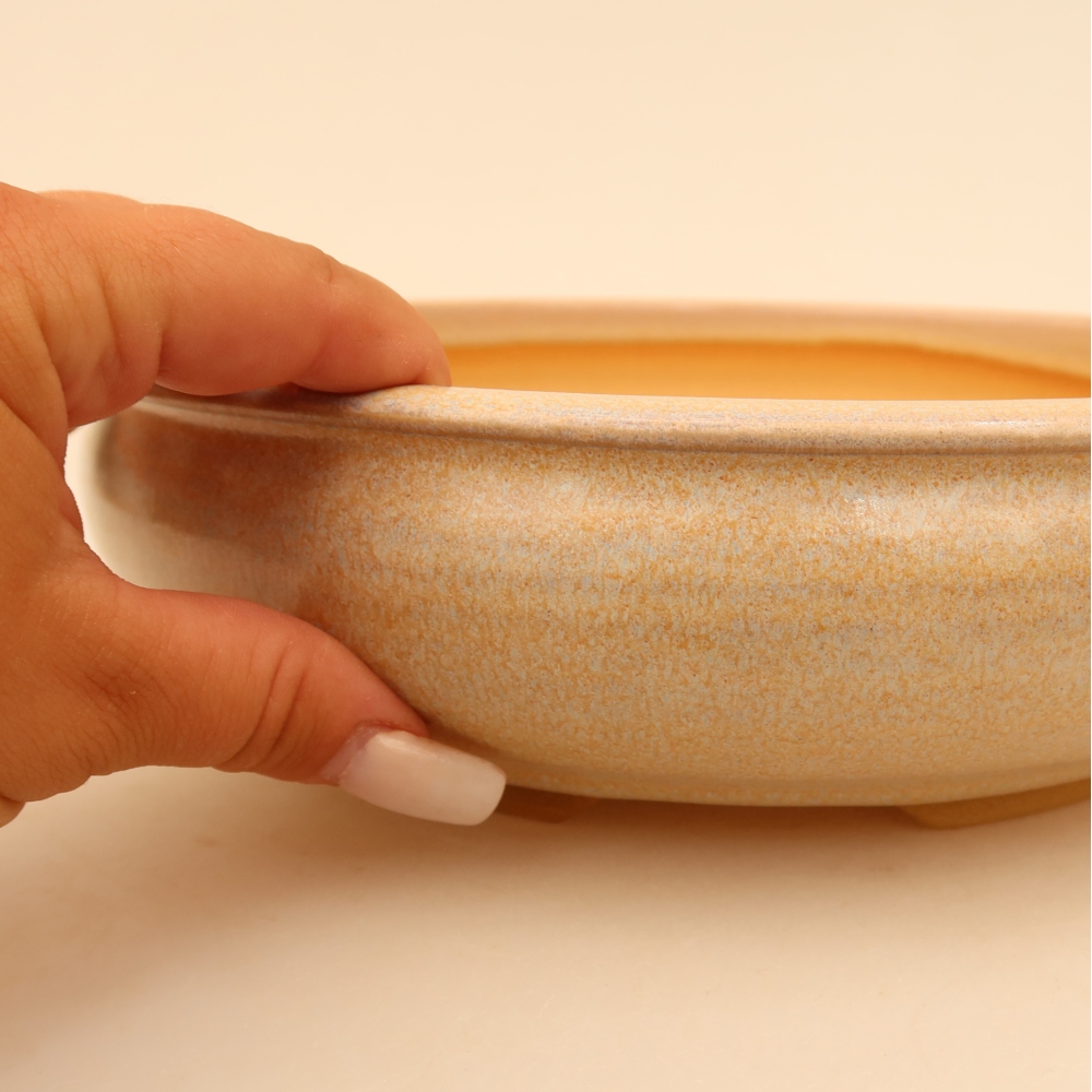 Ceramiczna miska do bonsai 23 x 23 x 6,5 cm, kolor beżowy