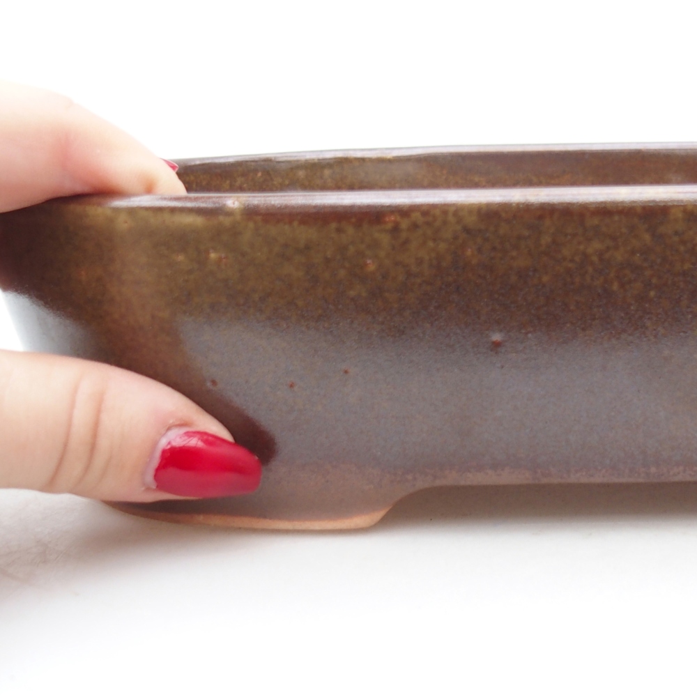 Ceramiczna miska do bonsai 22,5 x 17 x 6 cm, brązowa