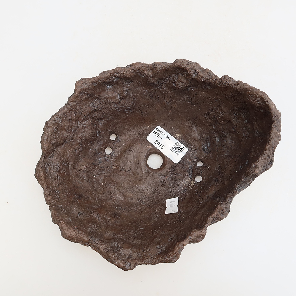 Ceramiczna skorupa 18,5 x 16,5 x 13 cm, kolor brązowy