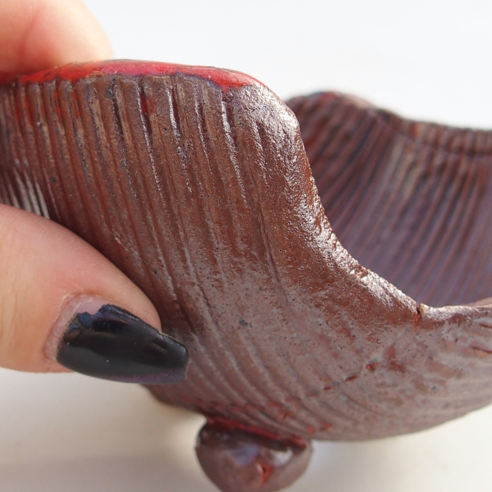 Muszla ceramiczna 10 x 10 x 6 cm, kolor brązowy