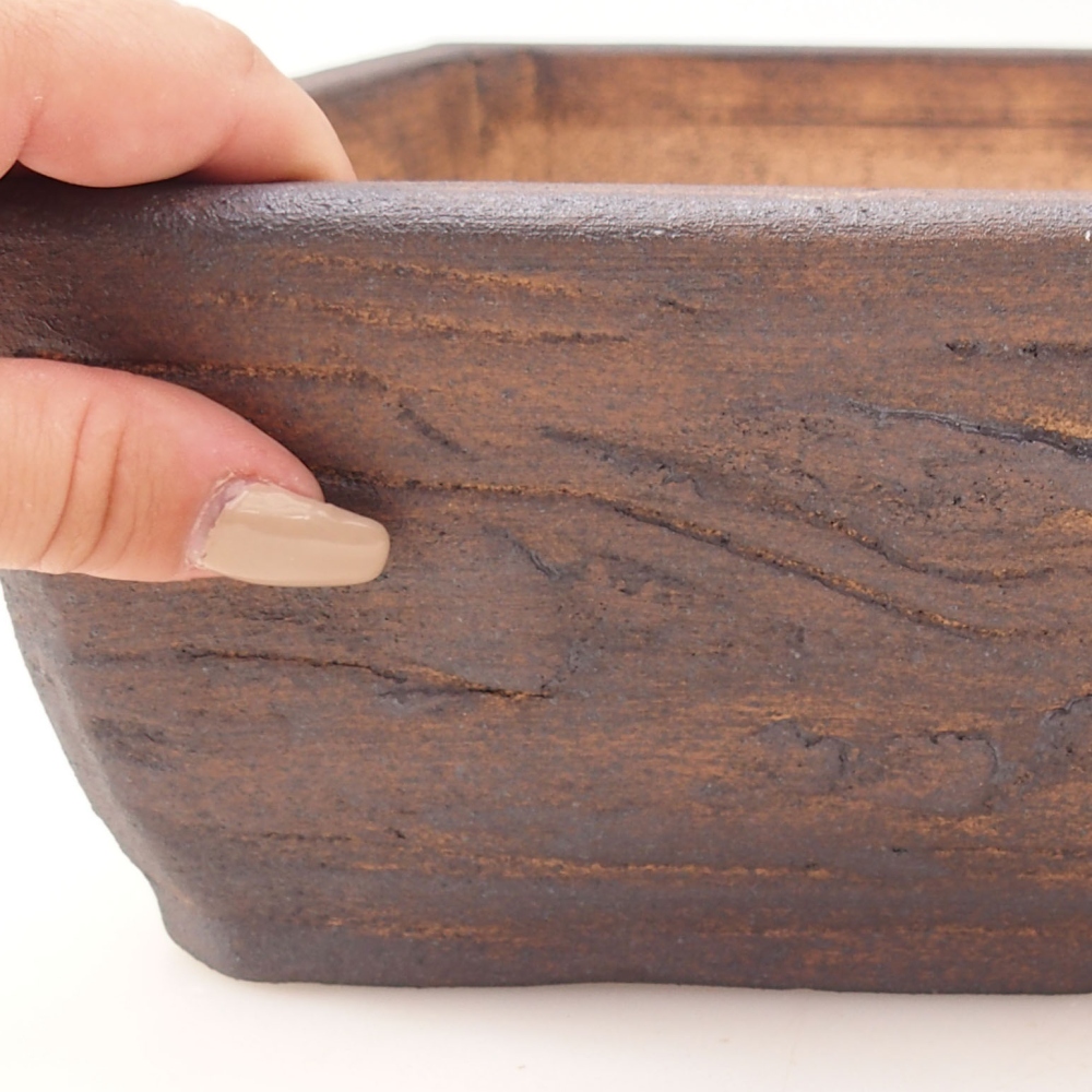 Misa bonsai 35 x 28 x 9,5 cm, kolor brązowy