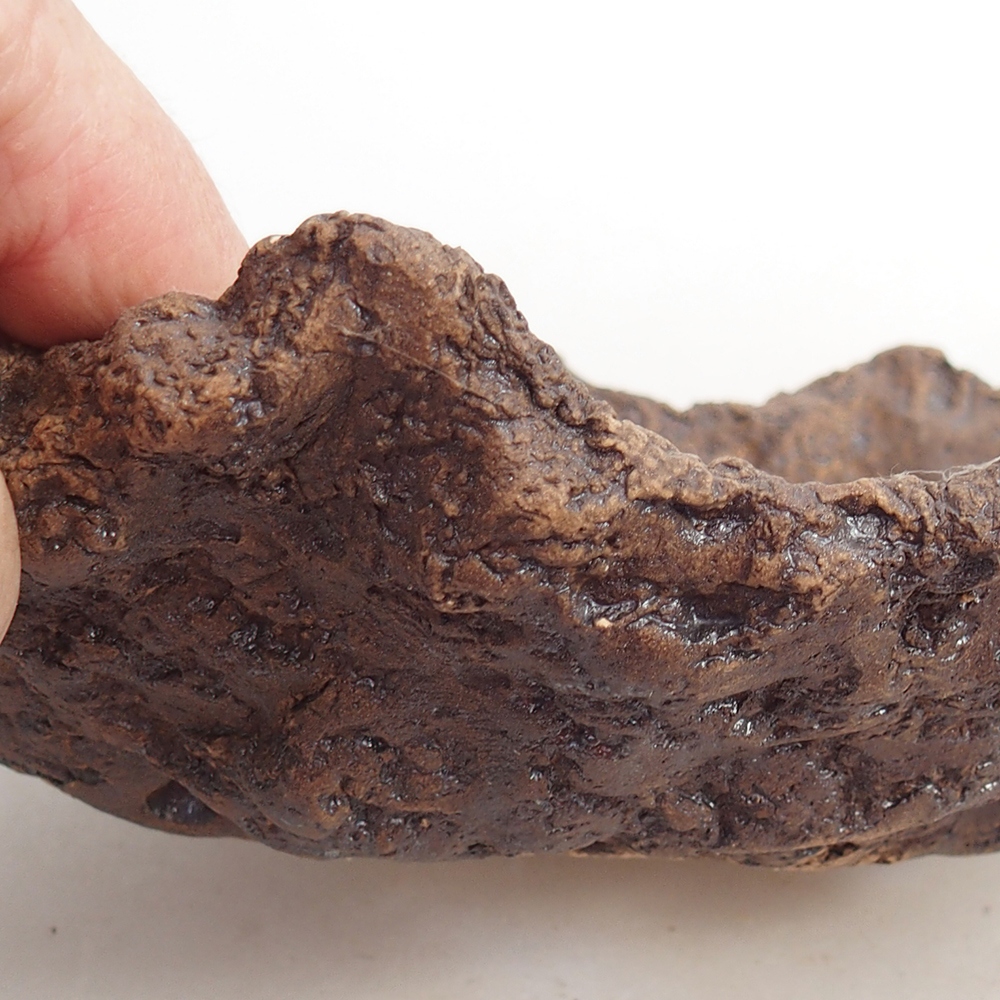 Ceramiczna skorupa 19 x 15 x 14 cm, kolor brązowy