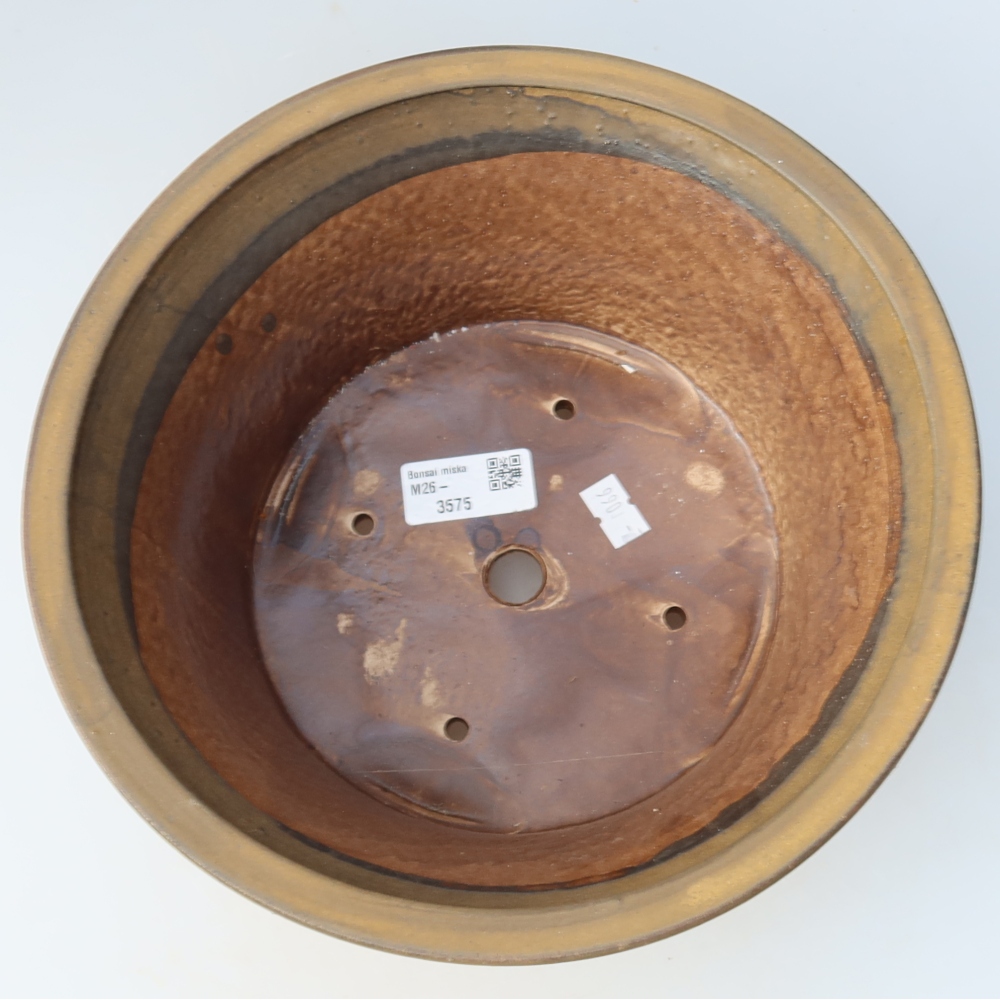 Ceramiczna miska do bonsai 24,5 x 24,5 x 11,5 cm, kolor brązowy