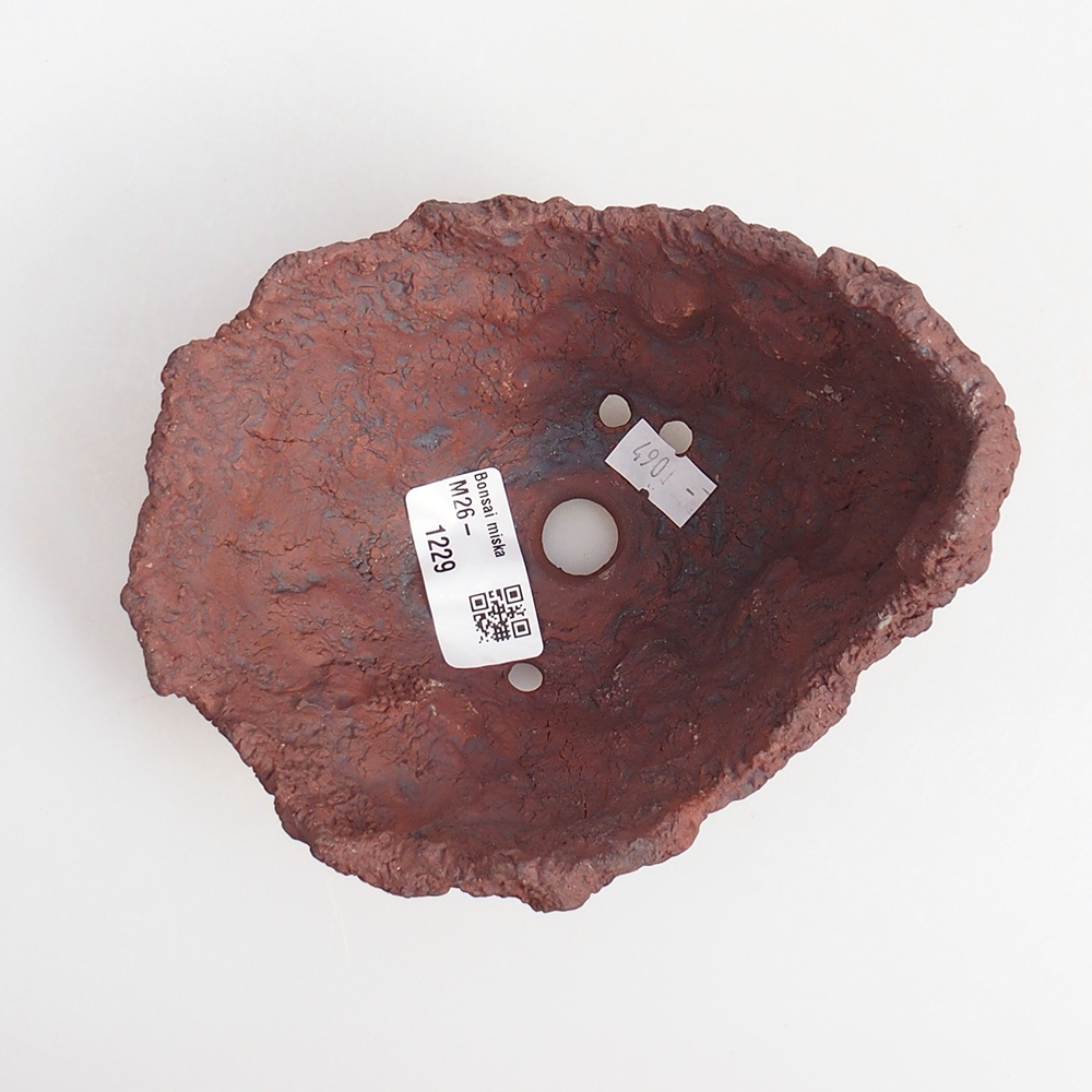 Ceramiczna muszla 13 x 11,5 x 10,5 cm, kolor brązowy