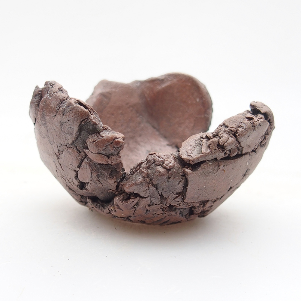 Muszla ceramiczna 6 x 6 x 4 cm, kolor brązowy