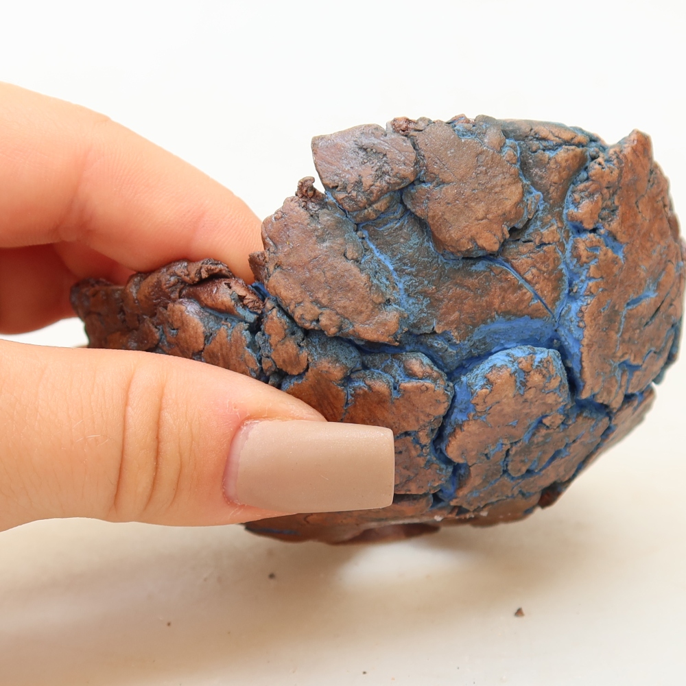 Ceramiczna skorupka 9 x 9 x 4 cm, kolor niebieski