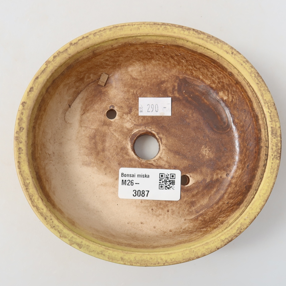 Ceramiczna miska do bonsai 15,5 x 14,5 x 4 cm, kolor żółty