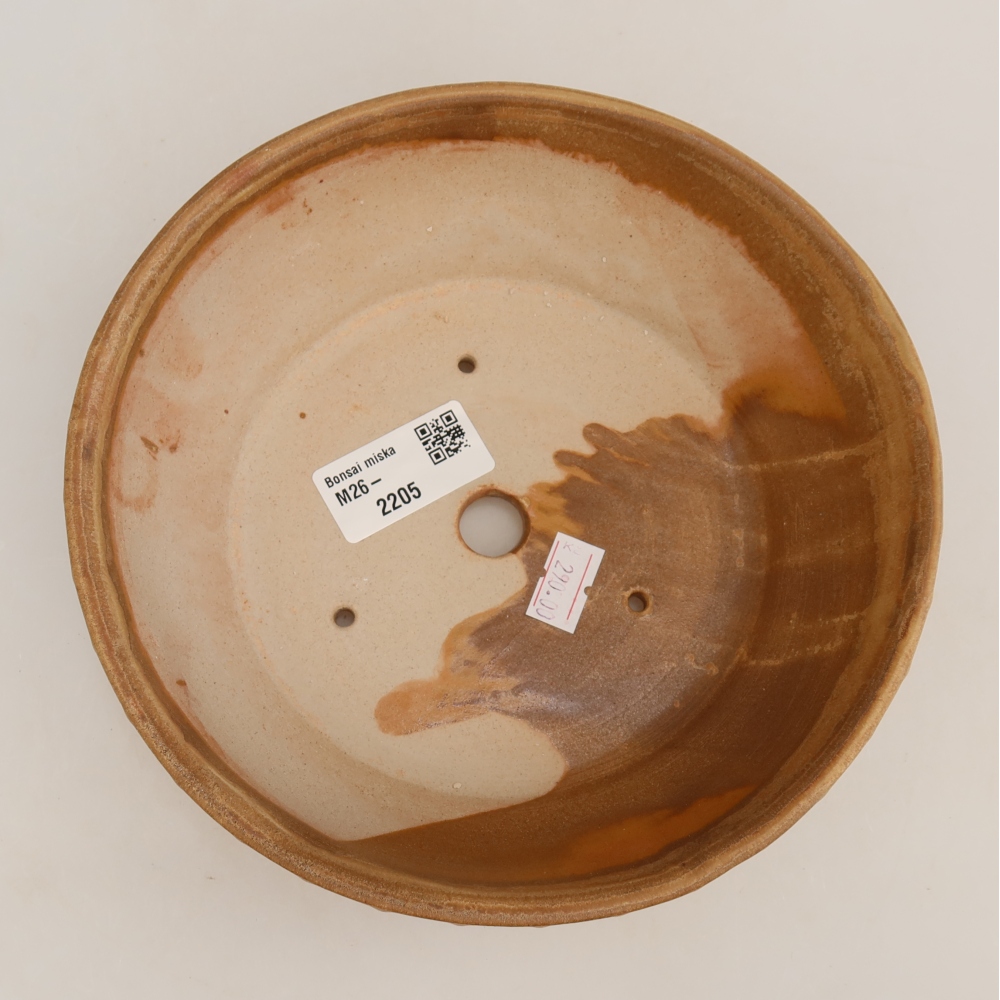 Ceramiczna miska do bonsai 17,5 x 17,5 x 5,5 cm, kolor beżowy