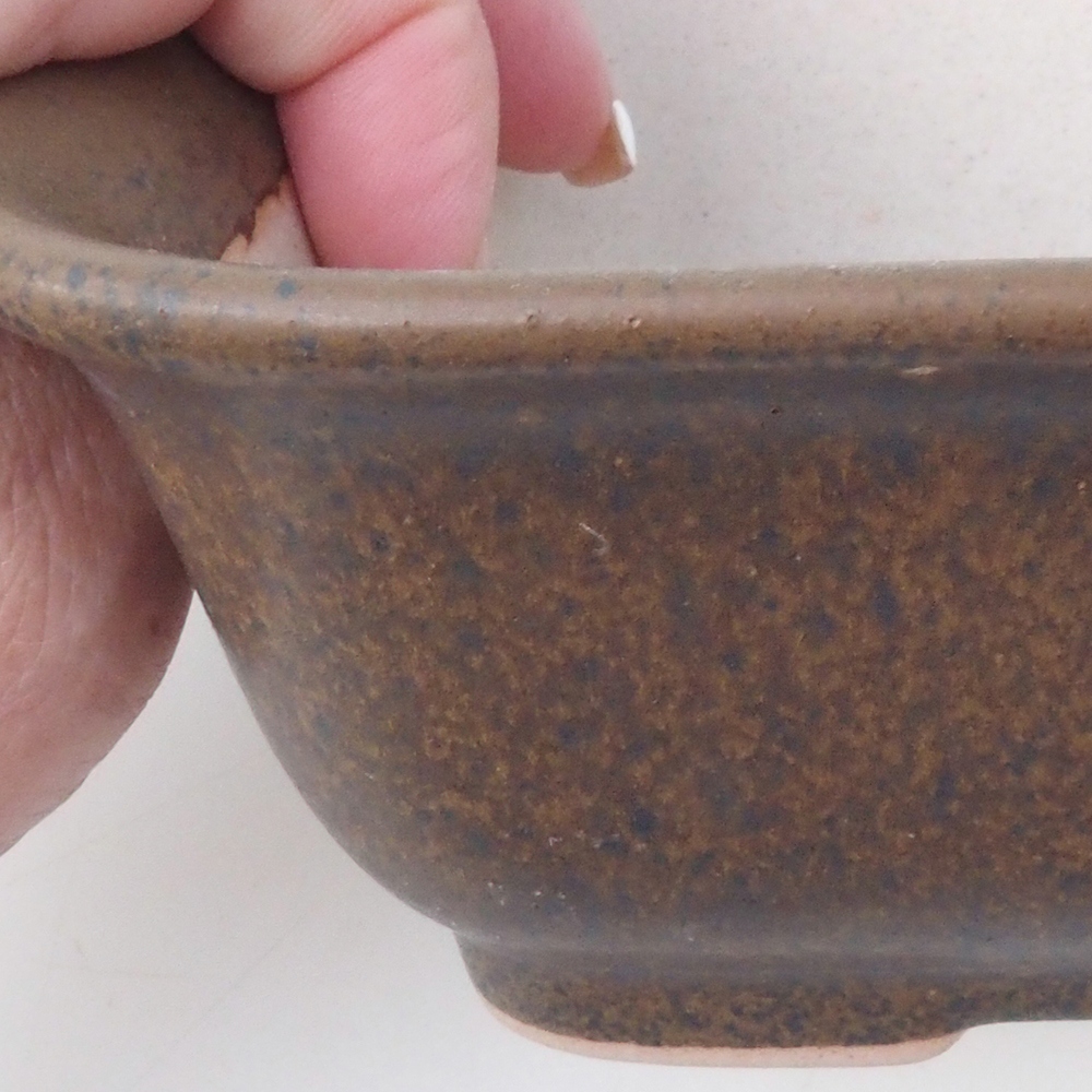 Miska bonsai H38 - 12 x 10 x 5,5 cm. - brązowy