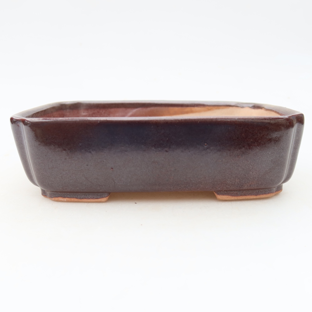 Ceramiczna miska do bonsai 15 x 12,5 x 4,5 cm, kolor brązowy