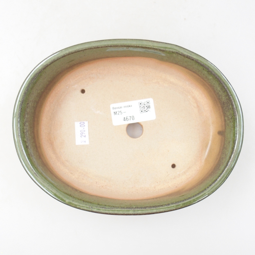 Ceramiczna miska bonsai 18,5 x 14,5 x 5 cm, kolor zielony