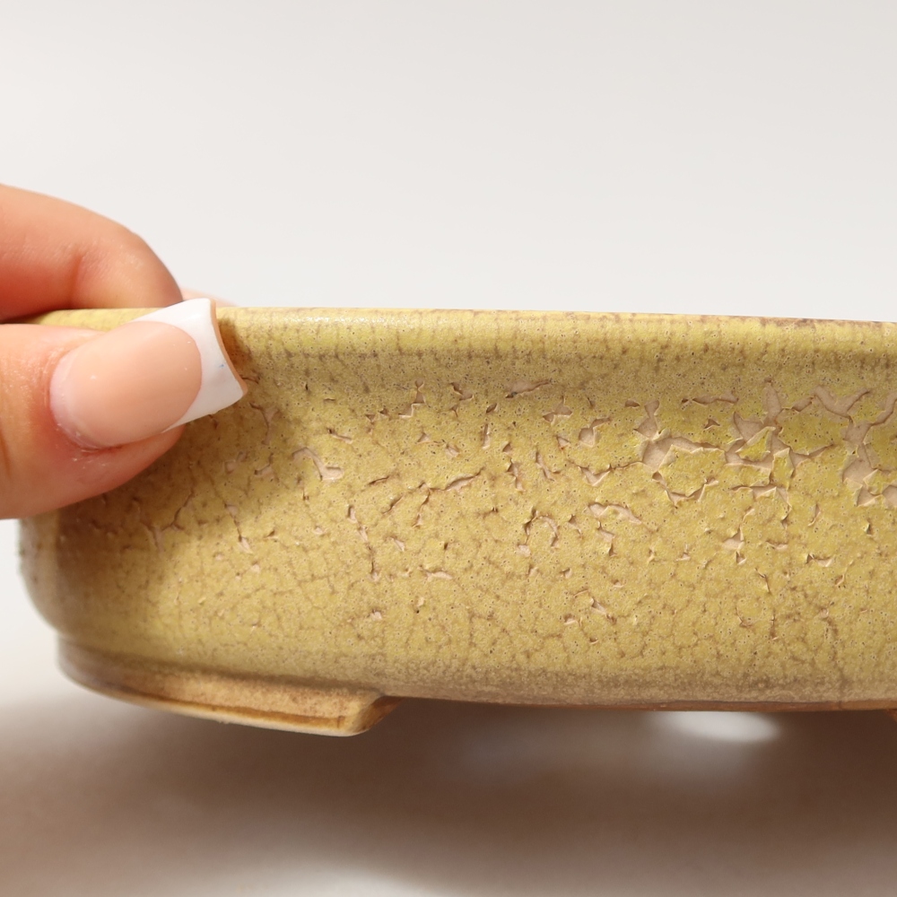 Ceramiczna miska do bonsai 18 x 16,5 x 4,5 cm, kolor żółty