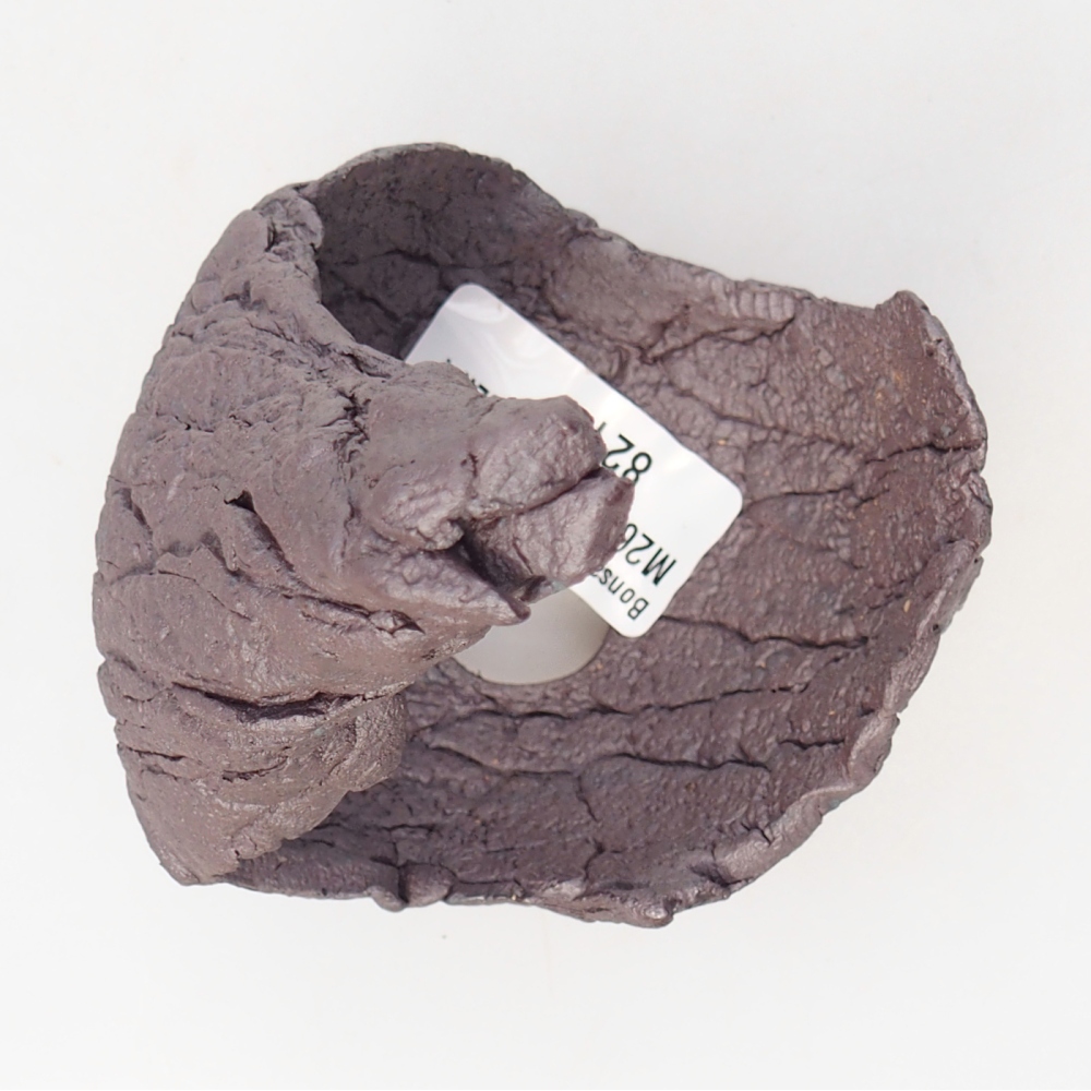 Muszla ceramiczna 8 x 7,5 x 12 cm, kolor metaliczny