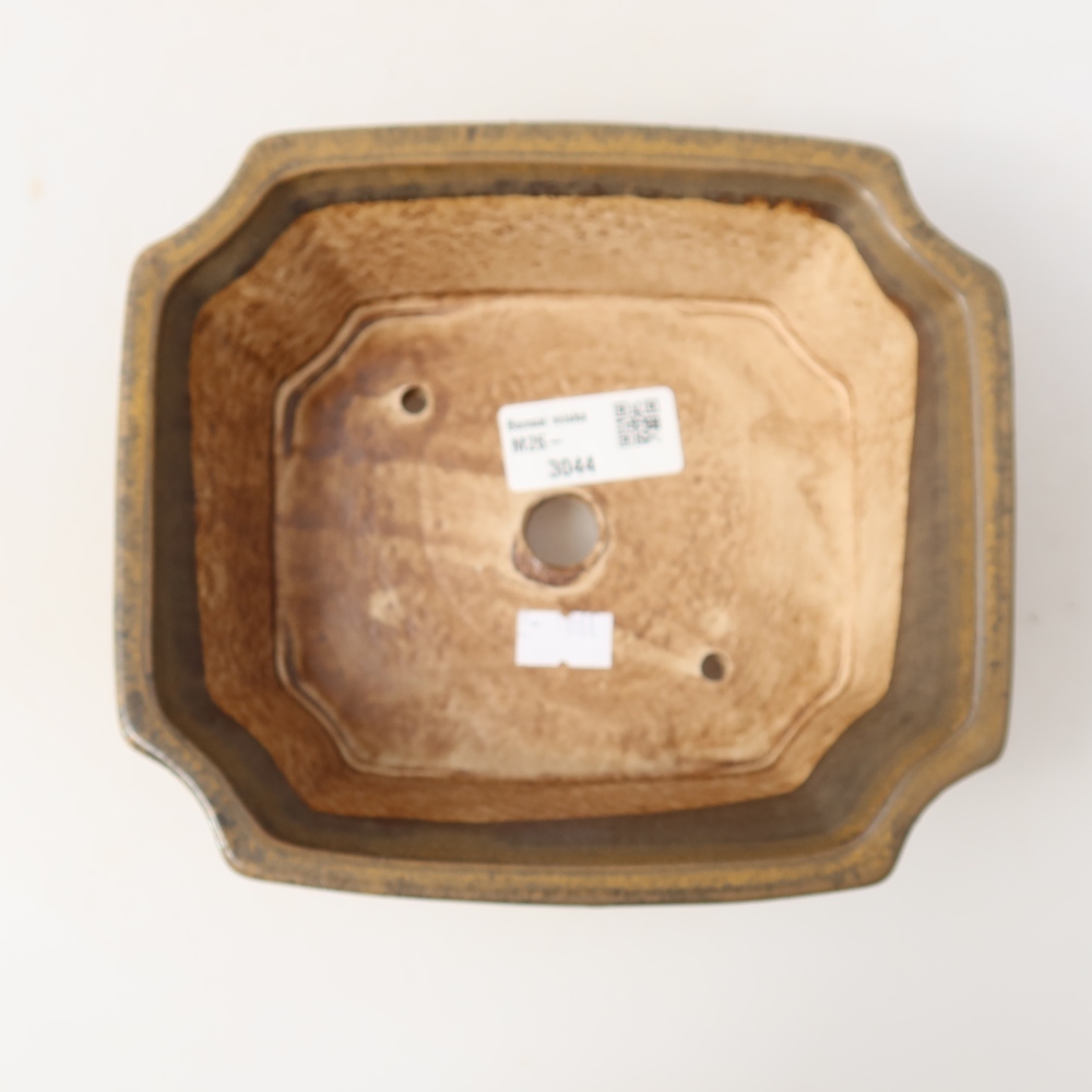 Ceramiczna miska do bonsai 18 x 15,5 x 6 cm, kolor brązowy