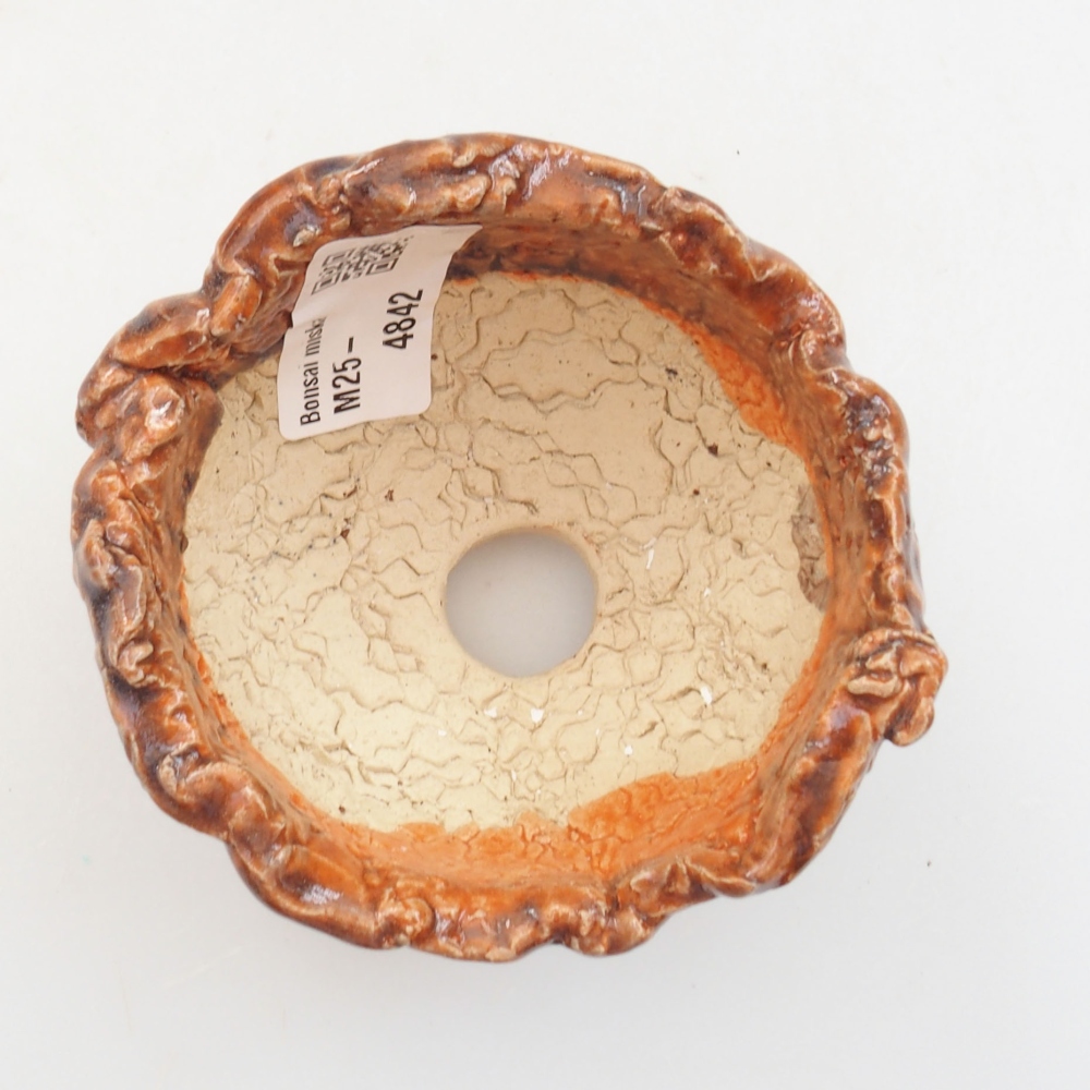 Muszla ceramiczna 8 x 7,5 x 6 cm, kolor brązowy