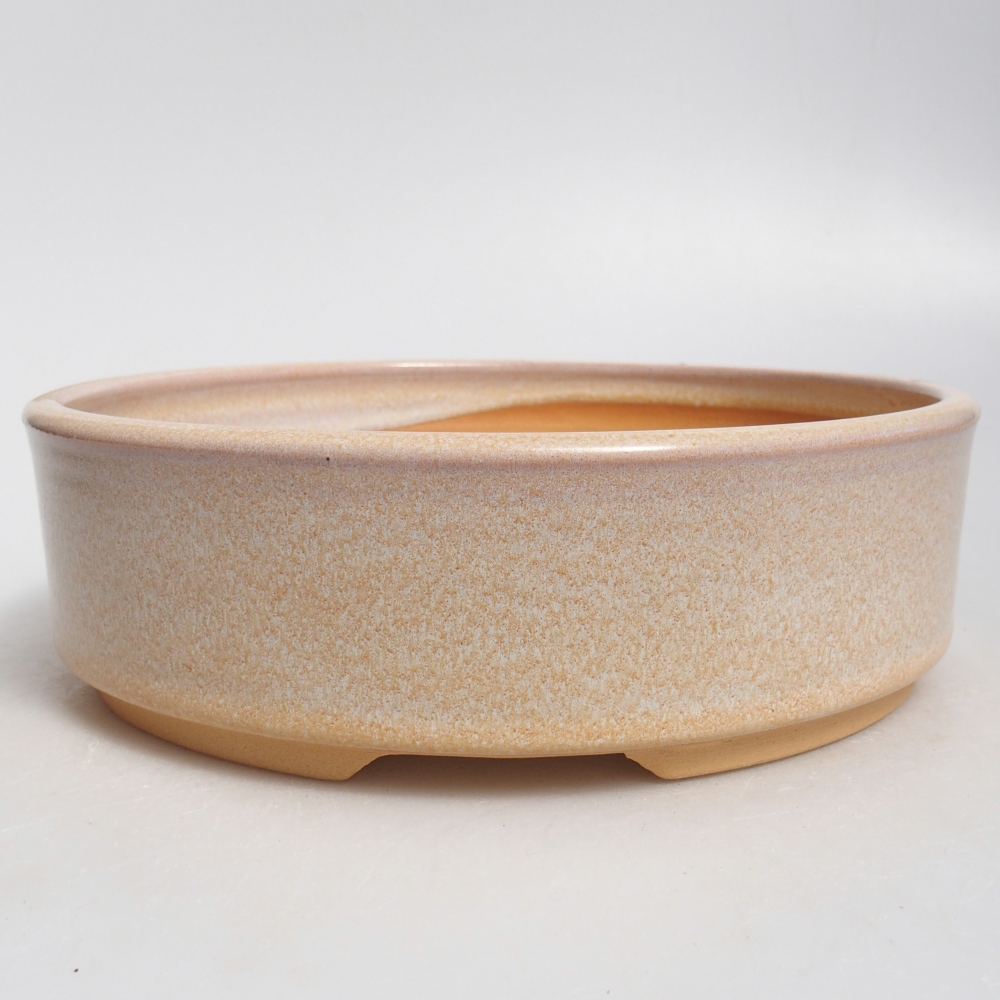 Ceramiczna miska do bonsai 20,5 x 20,5 x 6 cm, kolor beżowy