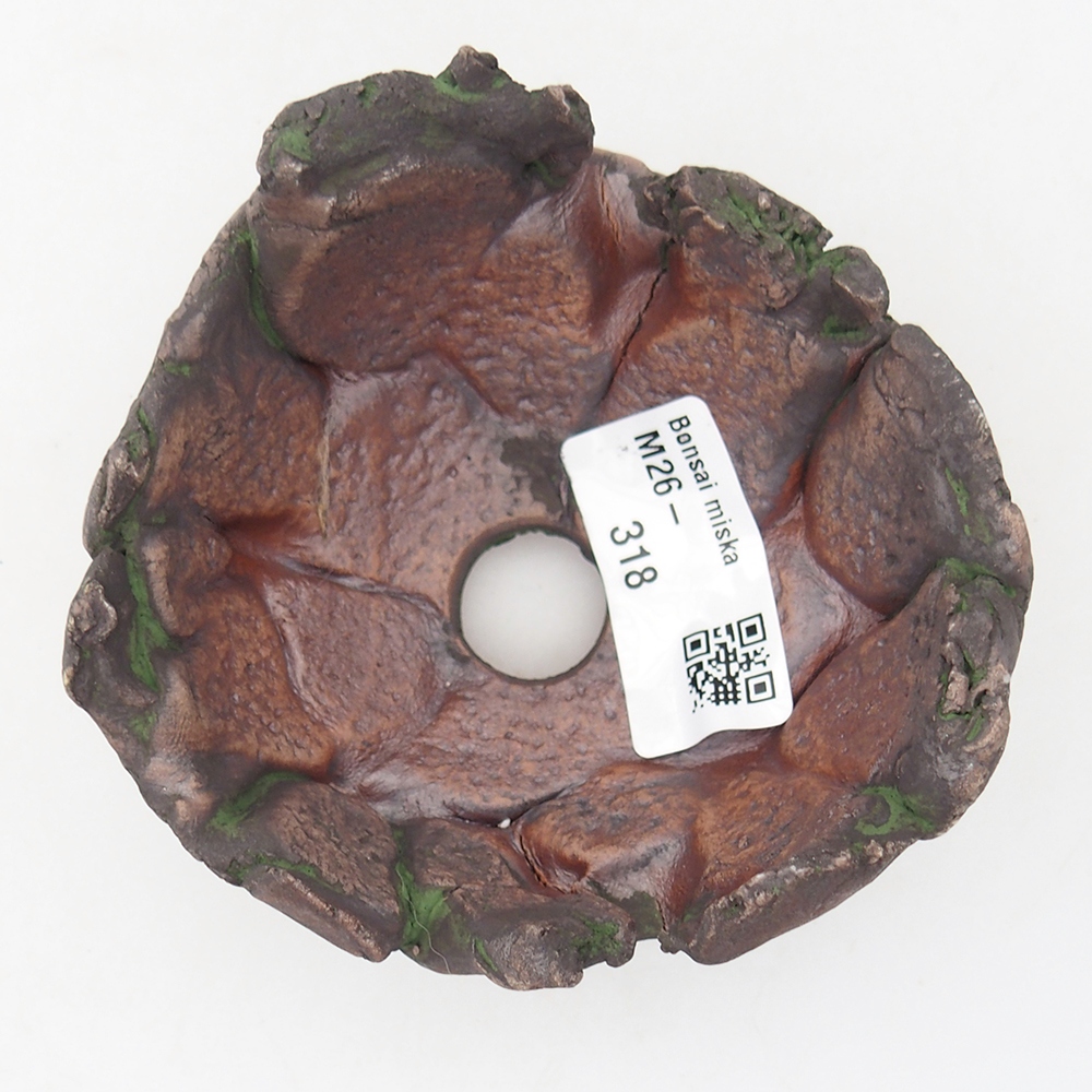 Ceramiczna muszla 9,5 x 8,5 x 6 cm, kolor zielony