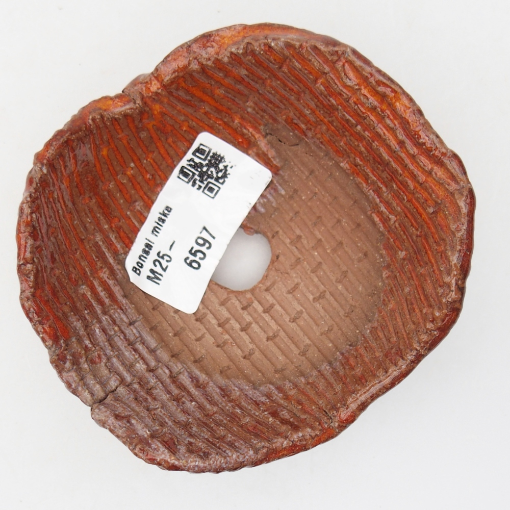 Ceramiczna skorupa 9 x 9 x 5 cm, kolor pomarańczowy